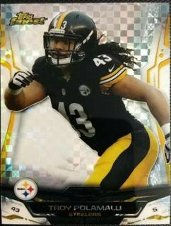 Troy Polamalu