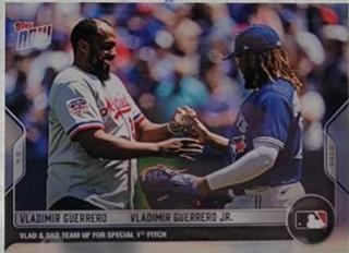 Vladimir Guerrero / Vladimir Guerrero Jr.