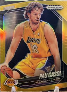 Pau Gasol