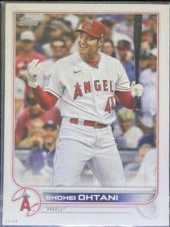 Shohei Ohtani