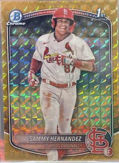 Sammy Hernandez