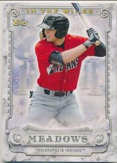 Austin Meadows