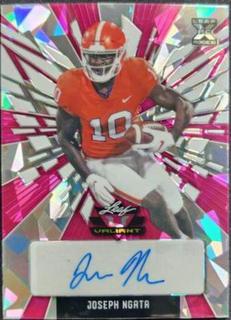 Joseph Ngata