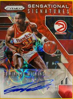 Dominique Wilkins