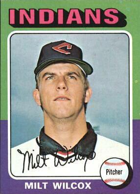 Milt Wilcox #14 Baseball Cards 1975 Topps Mini