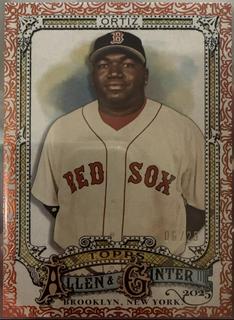David Ortiz