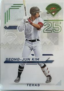 Seong-Jun Kim