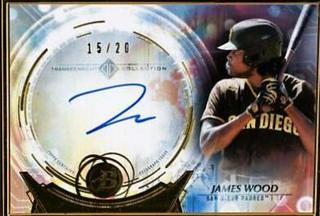 James Wood