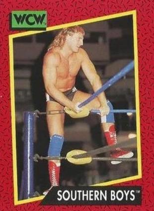 Southern Boys #132 Wrestling Cards 1991 Impel WCW