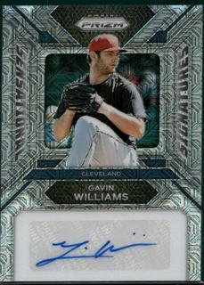 Gavin Williams