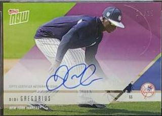 Didi Gregorius