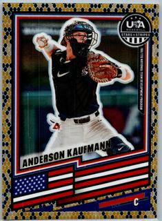 Anderson Kaufmann