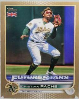 Cristian Pache