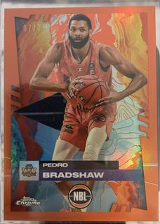 Pedro Bradshaw