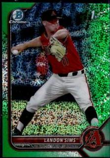 Landon Sims