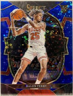 Dalen Terry