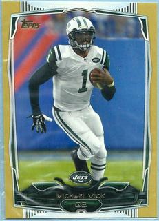 Michael Vick