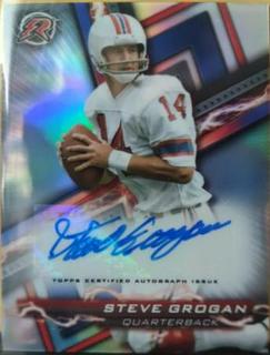 Steve Grogan