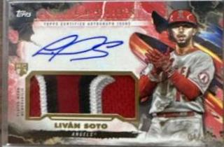 LivAn Soto