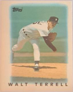 Walt Terrell