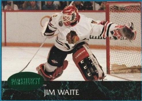 Jim Waite #270 Hockey Cards 1992 Parkhurst