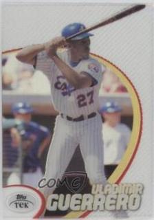 Vladimir Guerrero