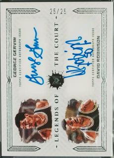 David Robinson / George Gervin