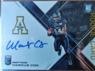Marcus Cox