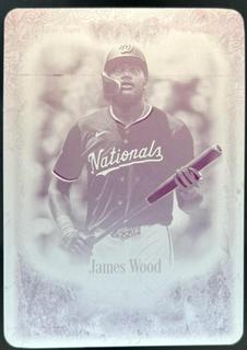 James Wood