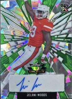 Jelani Woods