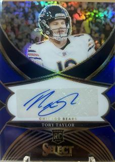 Tory Taylor