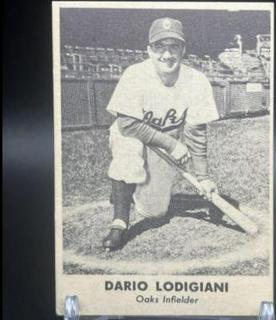 Dario Lodigiani
