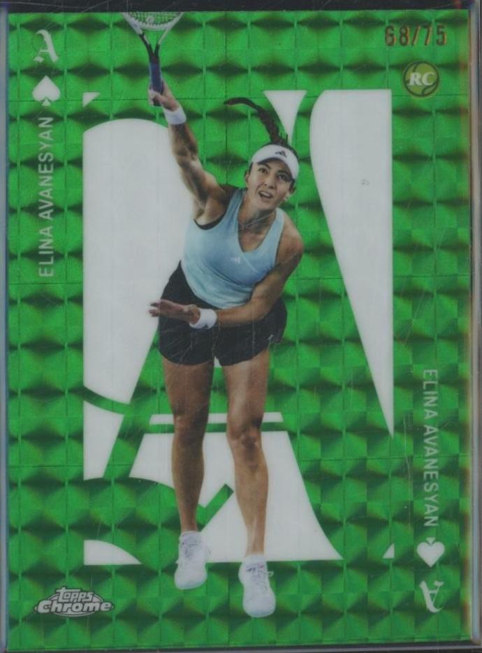 Elina Avanesyan [Green Geometric] #ACE-21