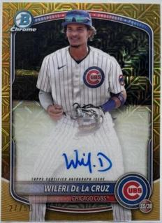 Wilfri De La Cruz