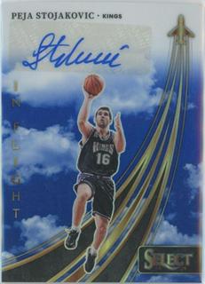 Peja Stojakovic