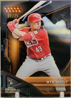 Sal Stewart