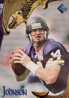 Brad Johnson