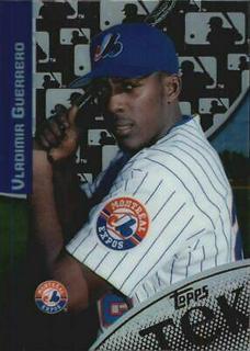 Vladimir Guerrero