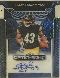 Troy Polamalu