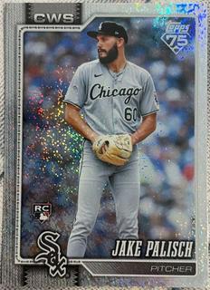 Jake Palisch