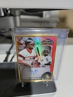 Luis Robert