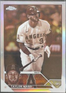 Taylor Ward