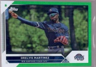 Orelvis Martinez