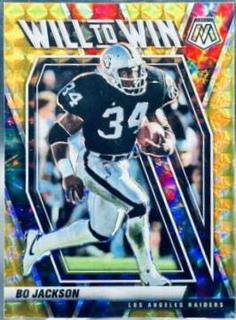 Bo Jackson