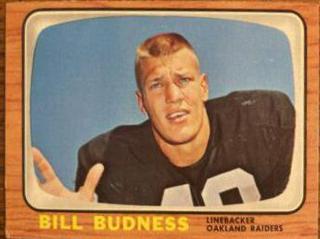 Bill Budness