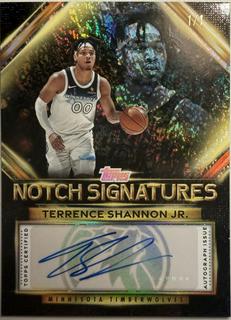 Terrence Shannon Jr.