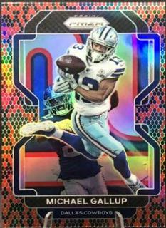 Michael Gallup
