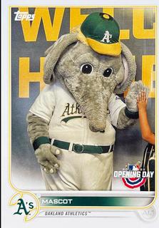 Mascot
