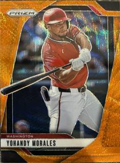 Yohandy Morales