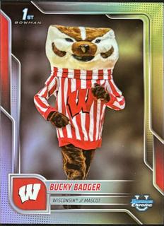 Bucky Badger